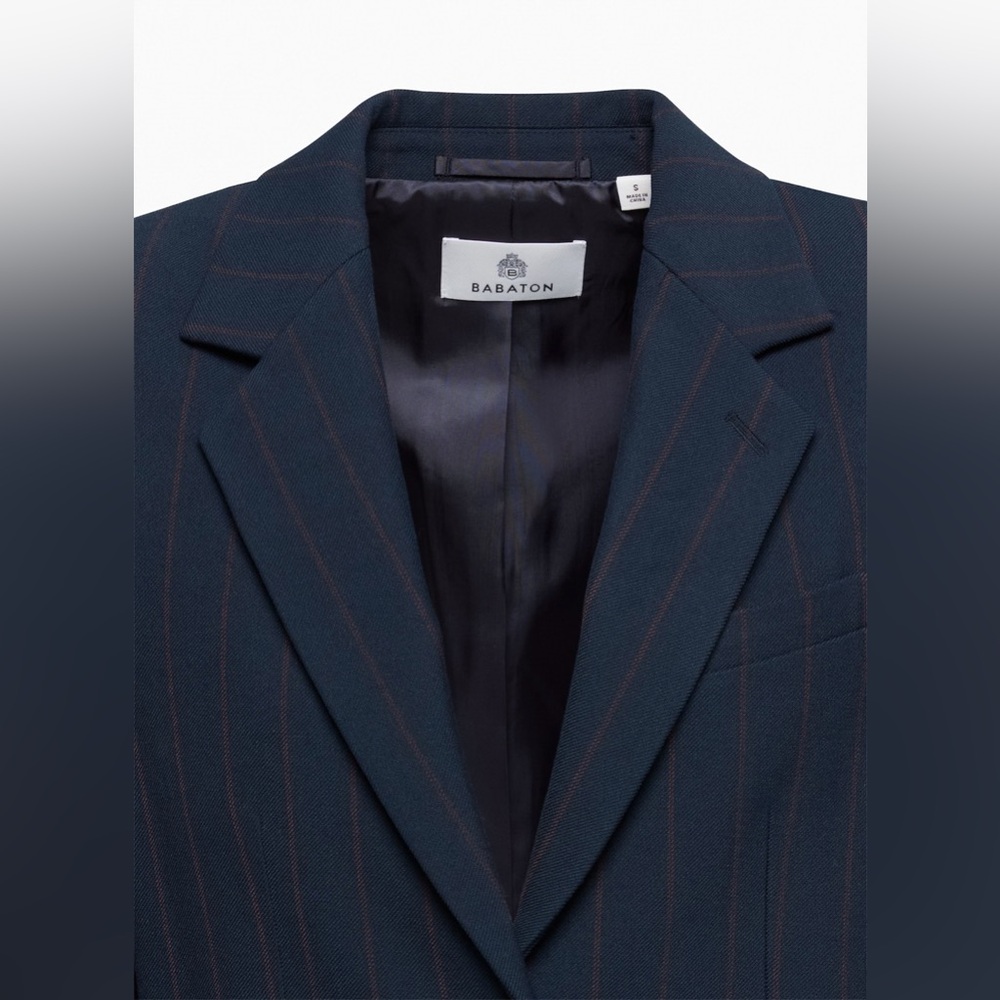 Aritzia Babaton Arbus Blazer - Picture 7 of 10